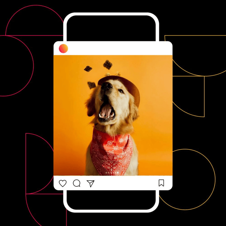 10 Dog Influencers Shaping Social Media In 2025