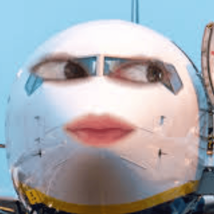 The Globalization of Niche